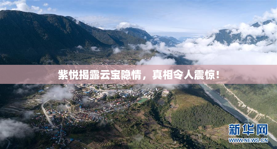 紫悦揭露云宝隐情，真相令人震惊！