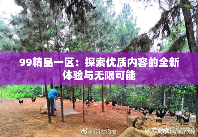 99精品一区：探索优质内容的全新体验与无限可能