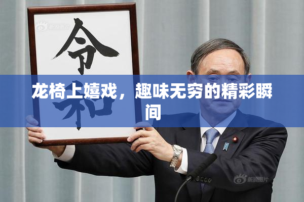 龙椅上嬉戏，趣味无穷的精彩瞬间