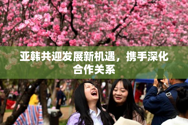 亚韩共迎发展新机遇，携手深化合作关系