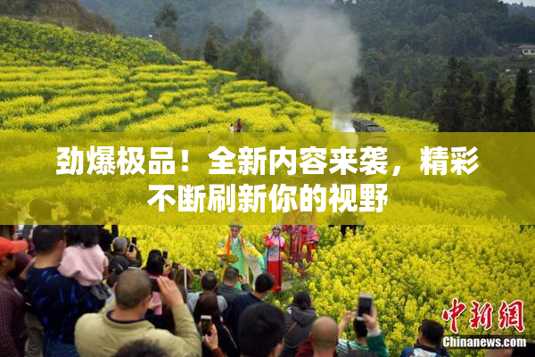 劲爆极品！全新内容来袭，精彩不断刷新你的视野