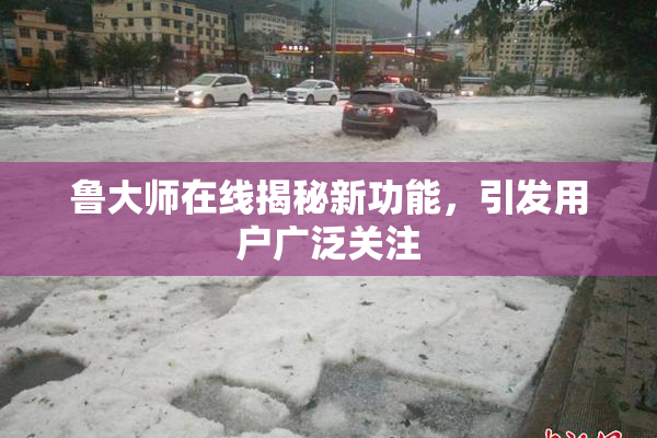 鲁大师在线揭秘新功能，引发用户广泛关注