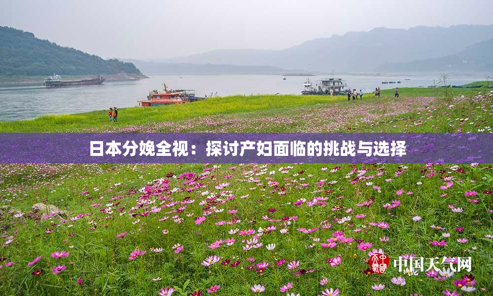 日本分娩全视：探讨产妇面临的挑战与选择