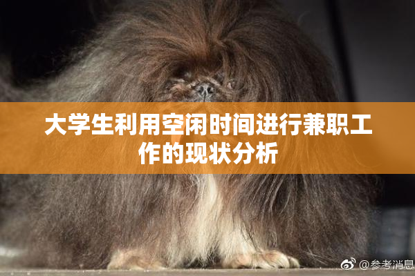 大学生利用空闲时间进行兼职工作的现状分析