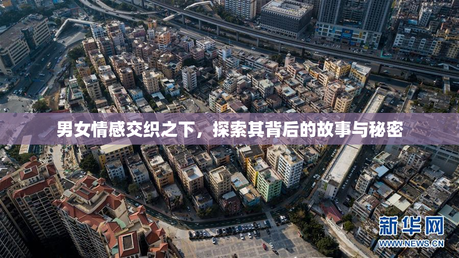 男女情感交织之下，探索其背后的故事与秘密