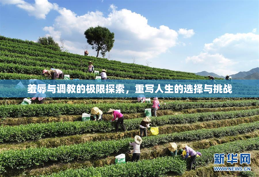 羞辱与调教的极限探索，重写人生的选择与挑战