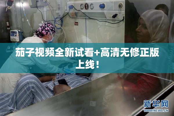 茄子视频全新试看+高清无修正版上线！
