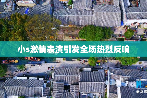 小s激情表演引发全场热烈反响