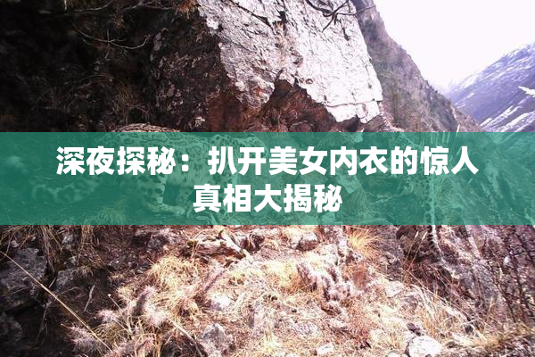 深夜探秘：扒开美女内衣的惊人真相大揭秘