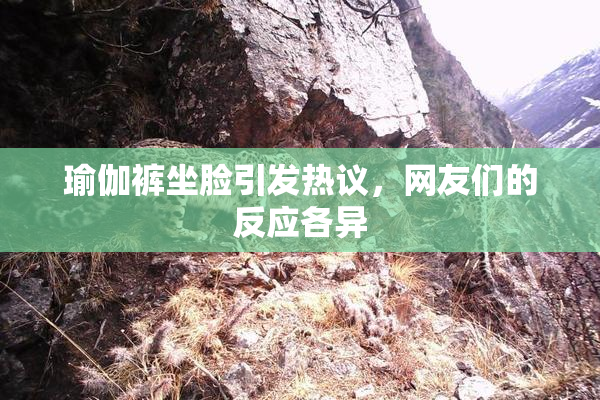 瑜伽裤坐脸引发热议，网友们的反应各异