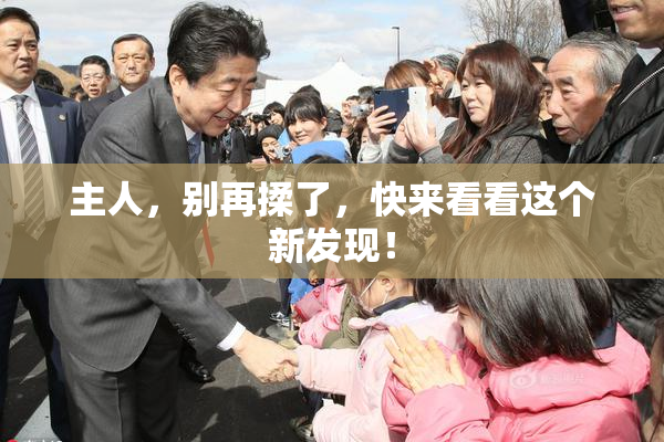 主人，别再揉了，快来看看这个新发现！