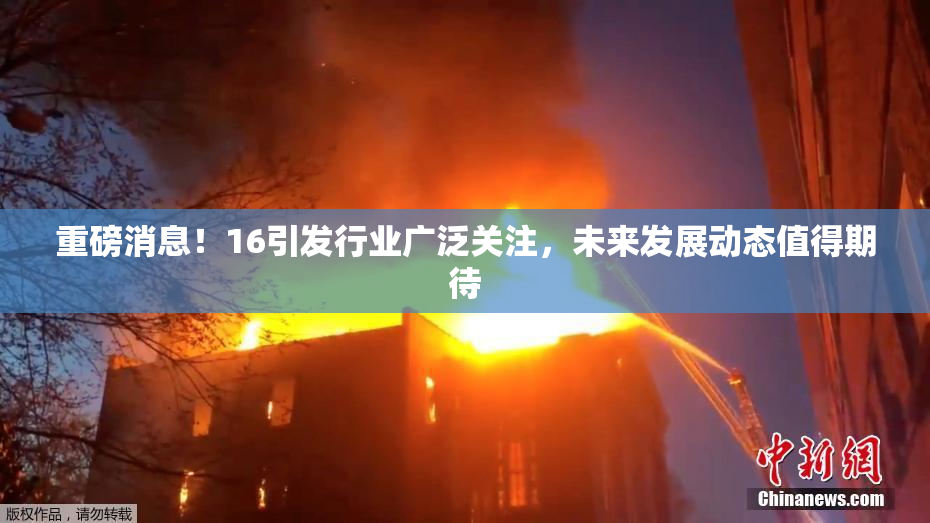 重磅消息！16引发行业广泛关注，未来发展动态值得期待
