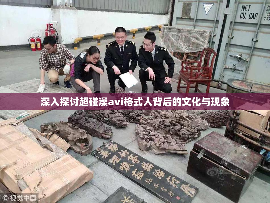 深入探讨超碰澡avi格式人背后的文化与现象