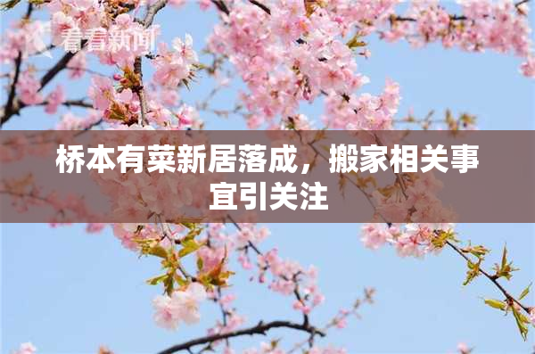 桥本有菜新居落成，搬家相关事宜引关注