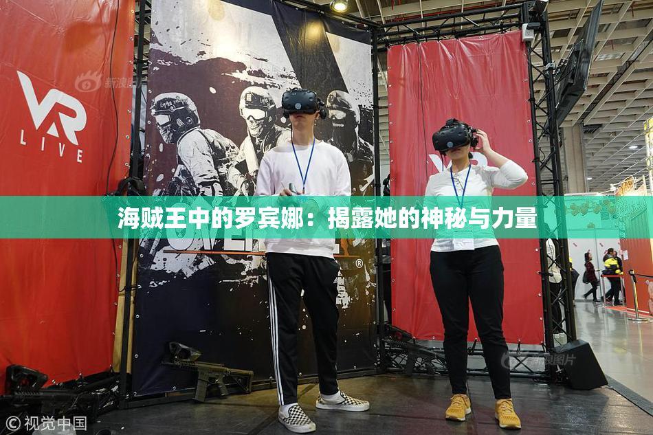 海贼王中的罗宾娜：揭露她的神秘与力量
