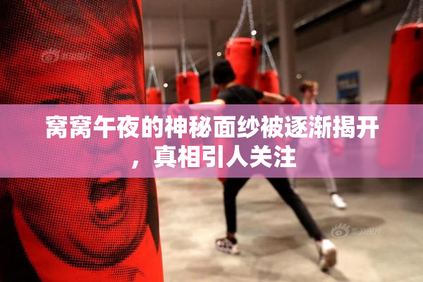 窝窝午夜的神秘面纱被逐渐揭开，真相引人关注