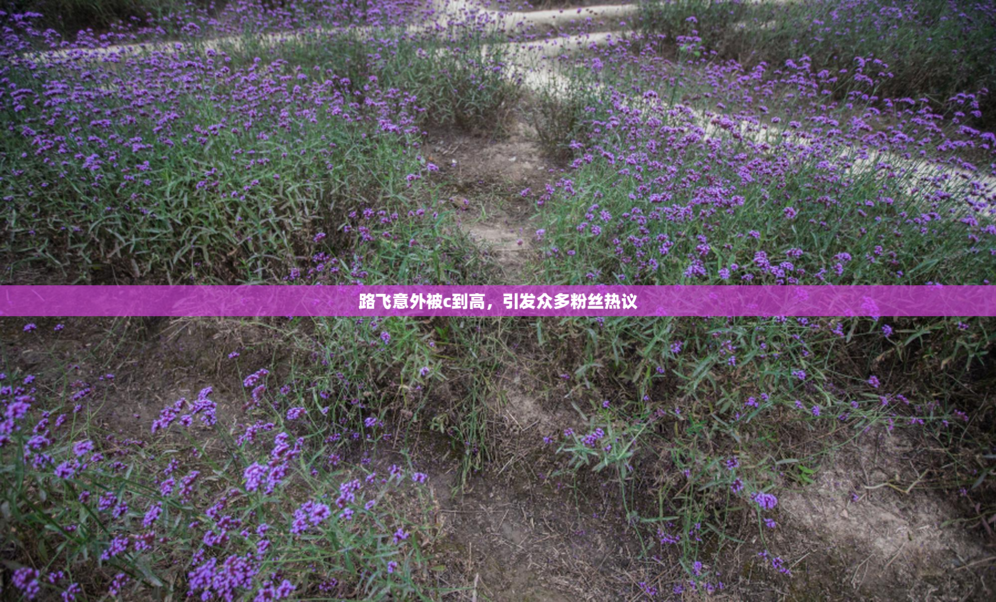 路飞意外被c到高，引发众多粉丝热议