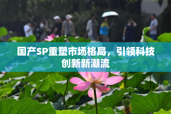 国产SP重塑市场格局，引领科技创新新潮流