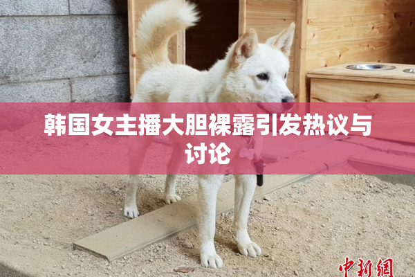 韩国女主播大胆裸露引发热议与讨论
