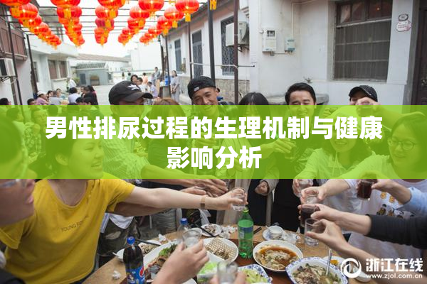 男性排尿过程的生理机制与健康影响分析