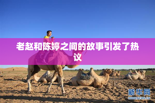 老赵和陈婷之间的故事引发了热议