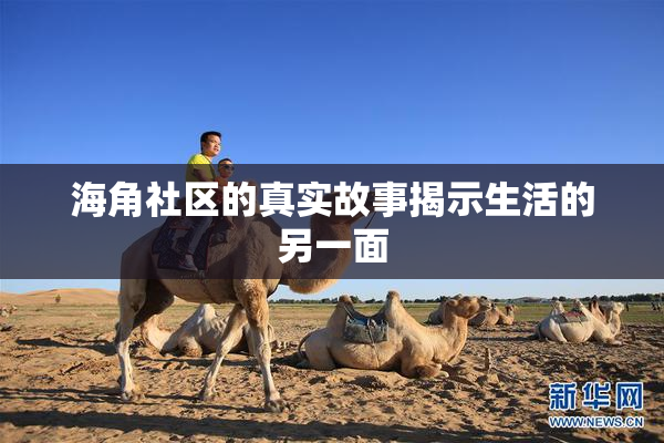 海角社区的真实故事揭示生活的另一面
