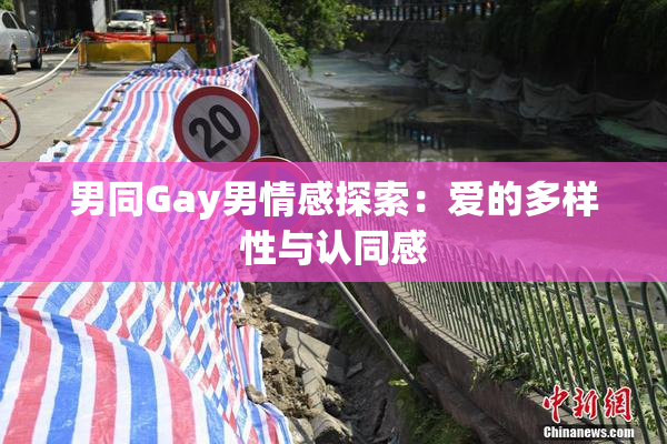 男同Gay男情感探索：爱的多样性与认同感