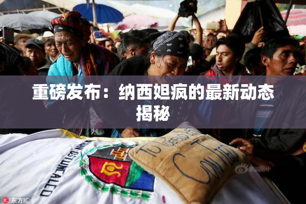 重磅发布：纳西妲疯的最新动态揭秘