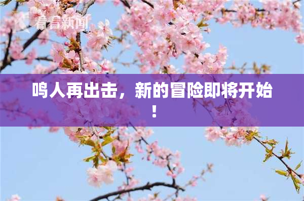 鸣人再出击，新的冒险即将开始！