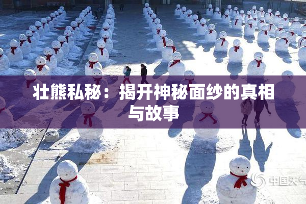 壮熊私秘：揭开神秘面纱的真相与故事