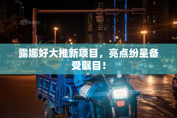 露娜好大推新项目，亮点纷呈备受瞩目！