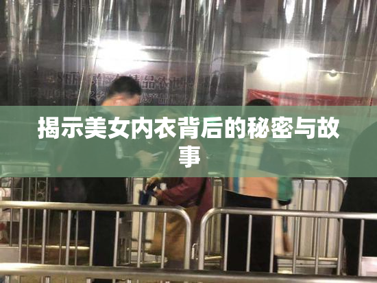 揭示美女内衣背后的秘密与故事