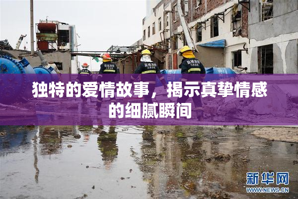 独特的爱情故事，揭示真挚情感的细腻瞬间