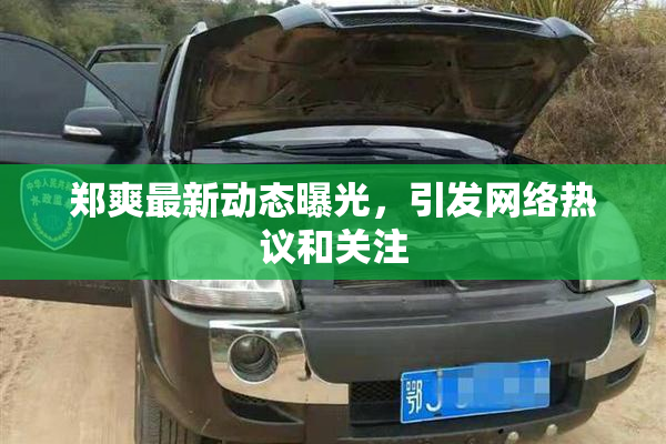 郑爽最新动态曝光，引发网络热议和关注
