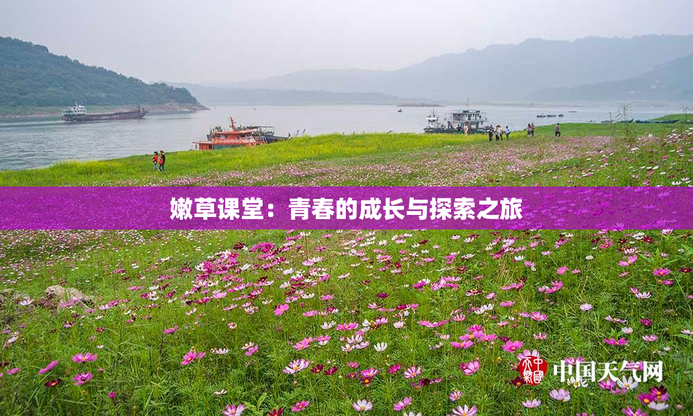 嫩草课堂：青春的成长与探索之旅