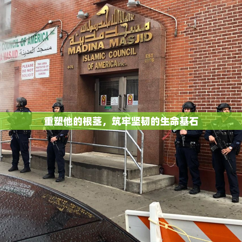 重塑他的根茎，筑牢坚韧的生命基石