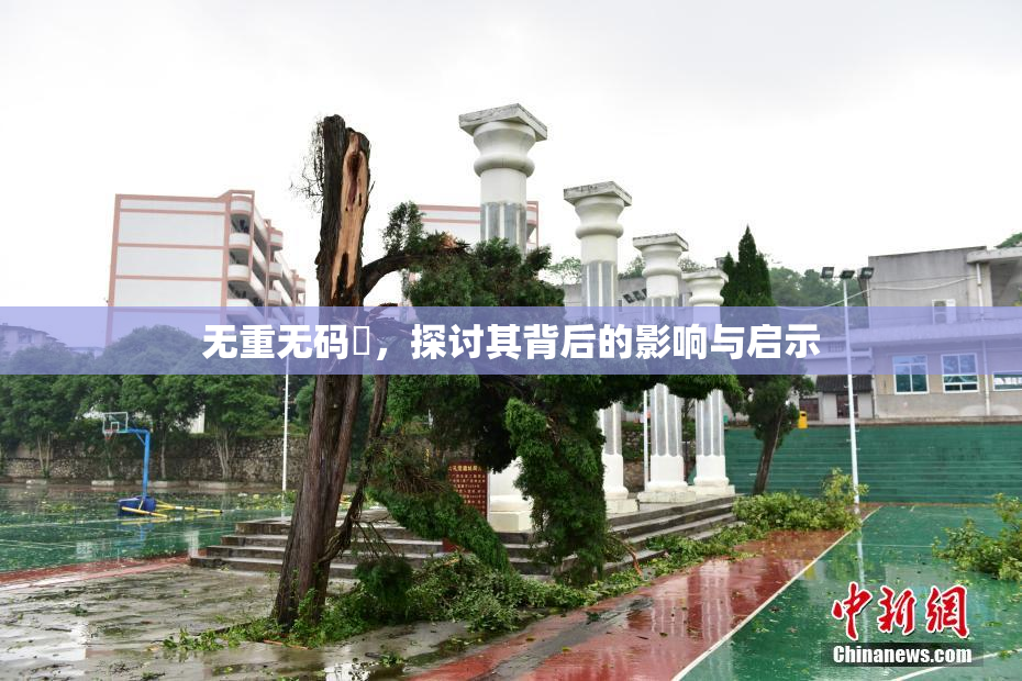 无重无码囯，探讨其背后的影响与启示