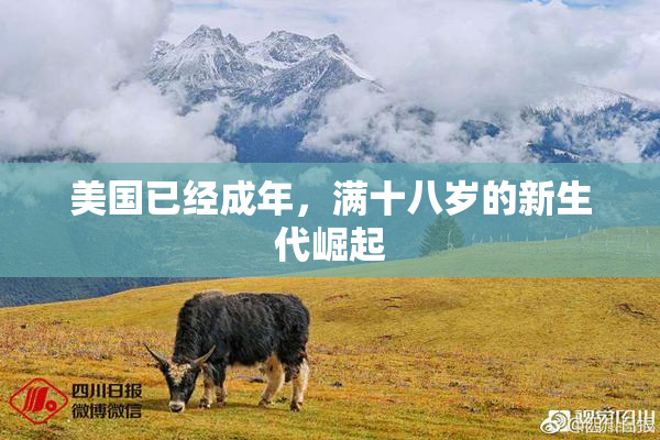 美国已经成年，满十八岁的新生代崛起