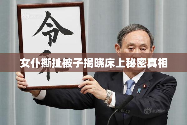 女仆撕扯被子揭晓床上秘密真相
