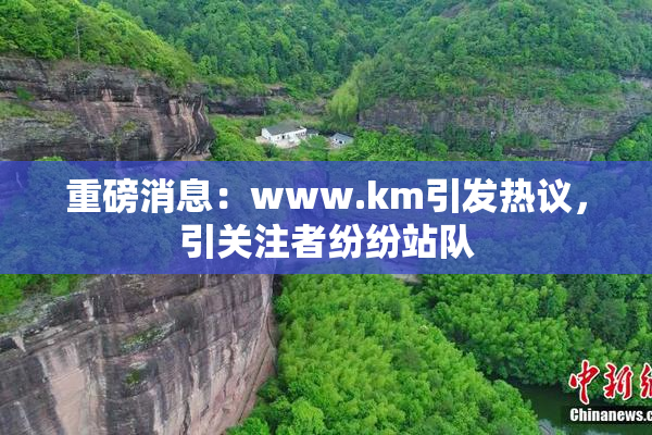 重磅消息：www.km引发热议，引关注者纷纷站队