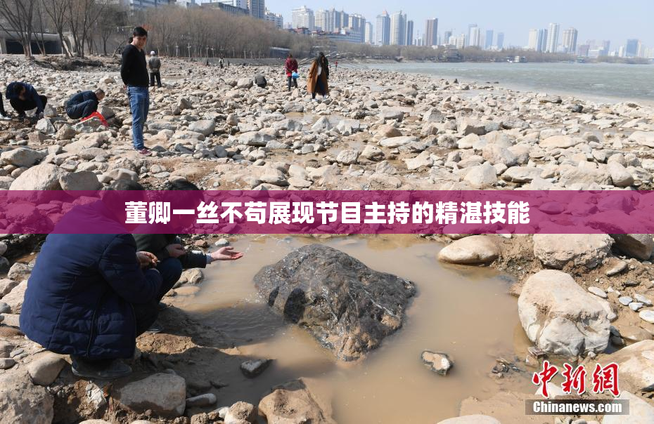 董卿一丝不苟展现节目主持的精湛技能