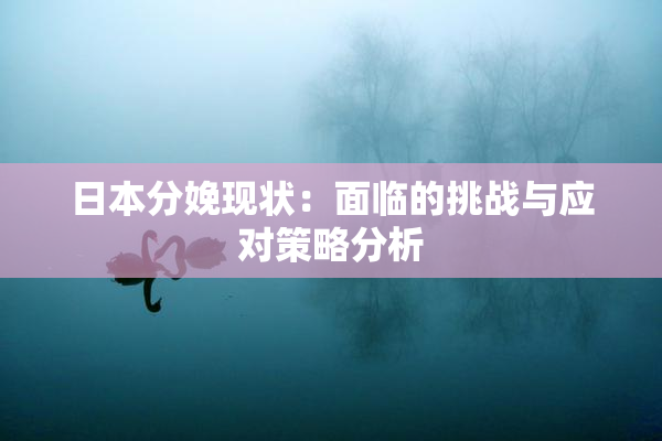 日本分娩现状：面临的挑战与应对策略分析