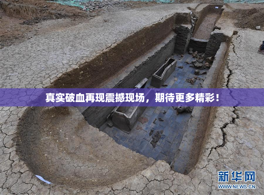 真实破血再现震撼现场，期待更多精彩！