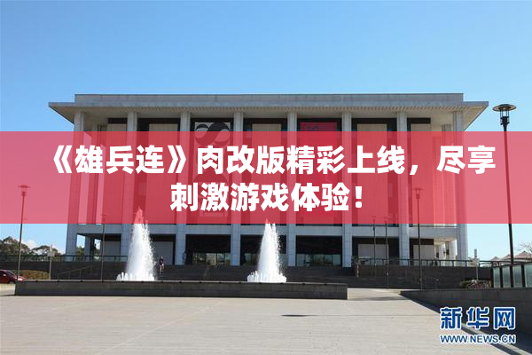 《雄兵连》肉改版精彩上线，尽享刺激游戏体验！