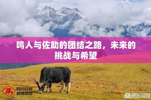鸣人与佐助的团结之路，未来的挑战与希望