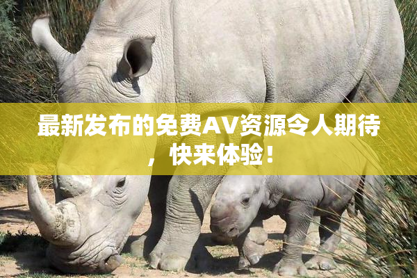 最新发布的免费AV资源令人期待，快来体验！