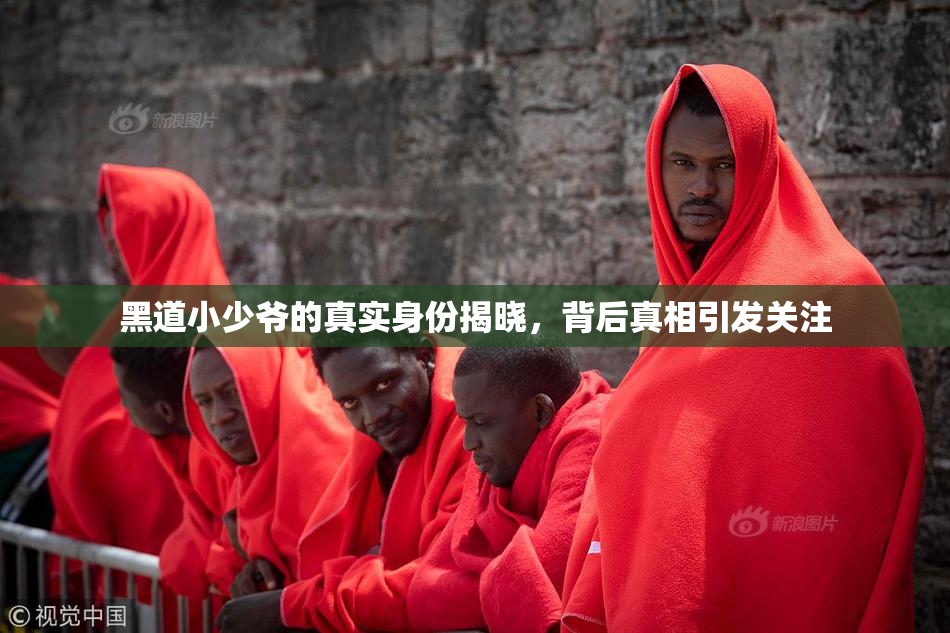 黑道小少爷的真实身份揭晓，背后真相引发关注