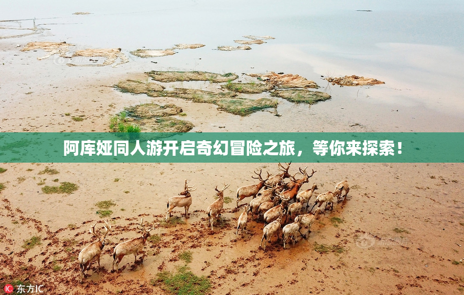 阿库娅同人游开启奇幻冒险之旅，等你来探索！