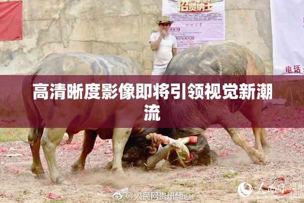 高清晰度影像即将引领视觉新潮流
