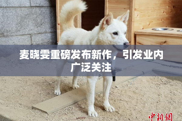 麦晓雯重磅发布新作，引发业内广泛关注